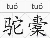 驼橐的拼音