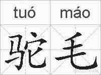 驼毛的拼音
