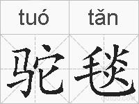 驼毯的拼音