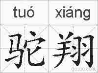 驼翔的拼音