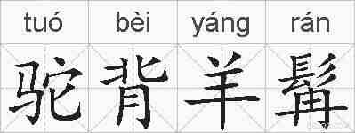 驼背羊髯的拼音
