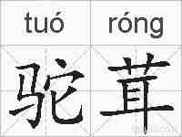 驼茸的拼音