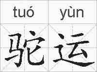 驼运的拼音