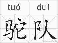 驼队的拼音