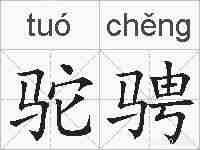 驼骋的拼音