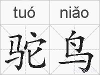 驼鸟的拼音