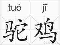 驼鸡的拼音