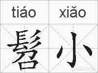 髫小的拼音