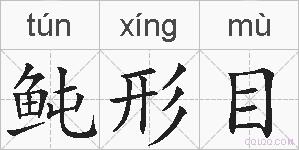 鲀形目的拼音
