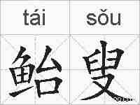 鲐叟的拼音