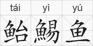 鲐鯣鱼的拼音