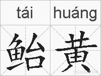 鲐黄的拼音