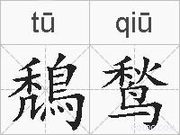 鵚鹙的拼音