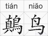 鷏鸟的拼音