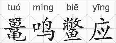 鼍鸣鳖应的拼音
