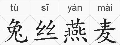 兔丝燕麦的拼音