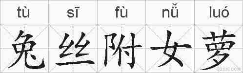 兔丝附女萝的拼音