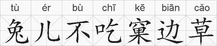 兔儿不吃窠边草的拼音