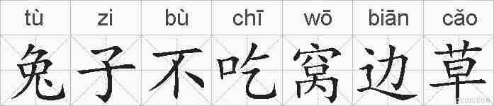 兔子不吃窝边草的拼音