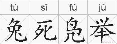 兔死凫举的拼音