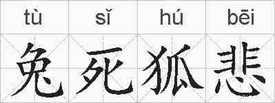 兔死狐悲的拼音