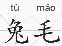 兔毛的拼音
