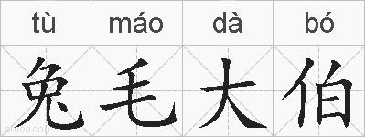 兔毛大伯的拼音