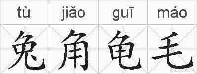 兔角龟毛的拼音