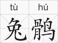 兔鹘的拼音