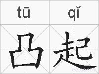 凸起的拼音