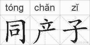 同产子的拼音