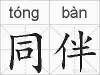 同伴的拼音