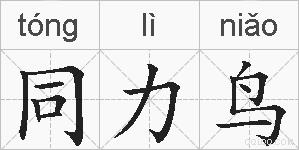 同力鸟的拼音