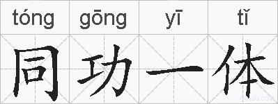同功一体的拼音