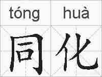 同化的拼音