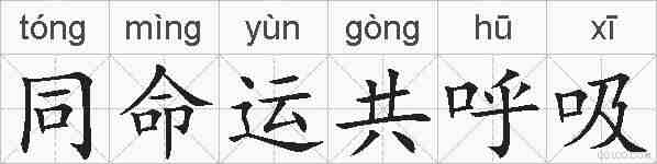 同命运共呼吸的拼音