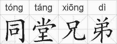 同堂兄弟的拼音