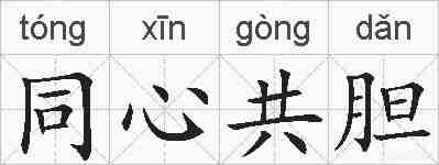 同心共胆的拼音