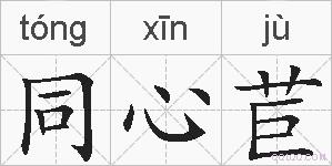 同心苣的拼音