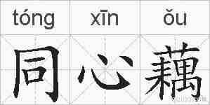 同心藕的拼音