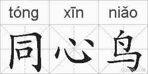 同心鸟的拼音