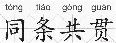 同条共贯的拼音
