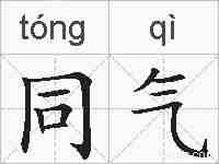 同气的拼音
