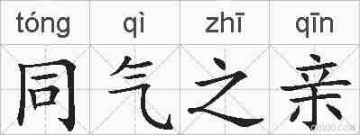 同气之亲的拼音