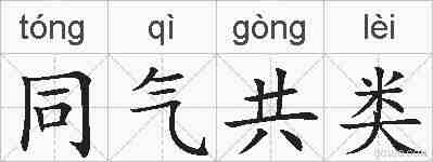 同气共类的拼音