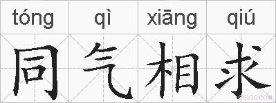 同气相求的拼音
