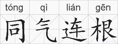 同气连根的拼音