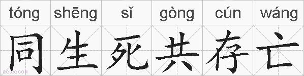 同生死共存亡的拼音