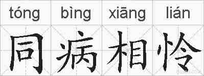 同病相怜的拼音