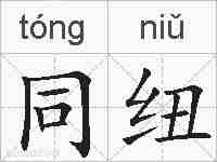 同纽的拼音